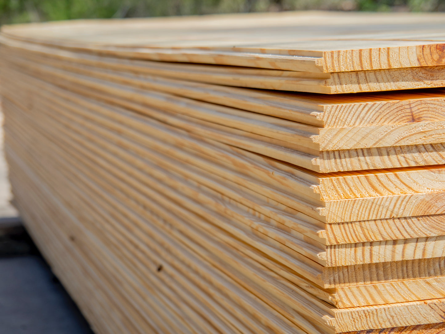 Wide Plank T&G Flooring 1x12x12' Knotty #2 Grade Pine