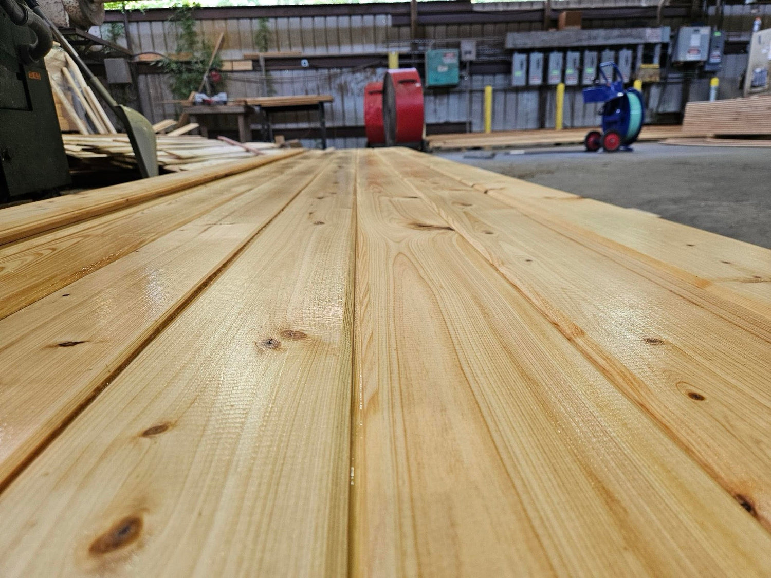 Cypress