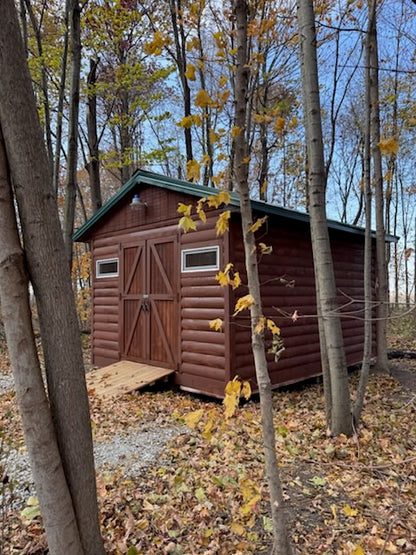 Revestimiento de cabaña de troncos de pino de 2 x 6 x 10 pies