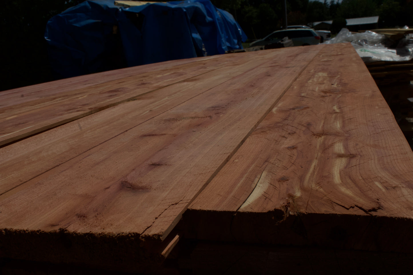 Paneles de pared de cedro rojo del este con ranuras en V, longitudes mixtas de 1 x 6 x 8' a 10'